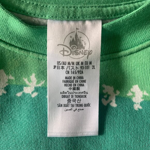 Disneyland Resort green striped crew neck pullover size medium - Picture 6 of 6
